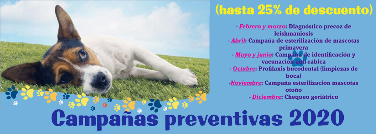 Campañas preventivas 2020
