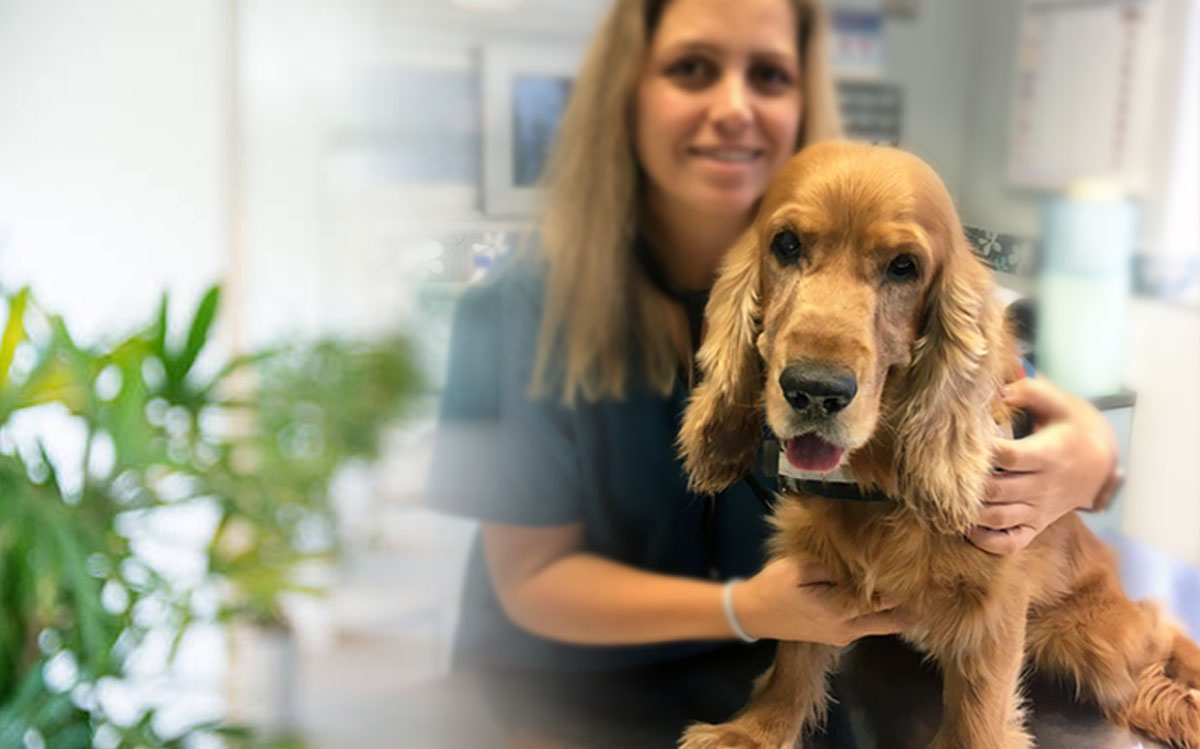 Clínica Veterinaria El Ensanche