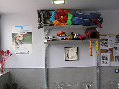 Tienda (complementos)